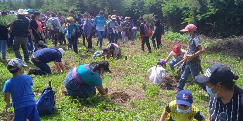 El Tejar y San Andrés Itzapa plantan más arboles