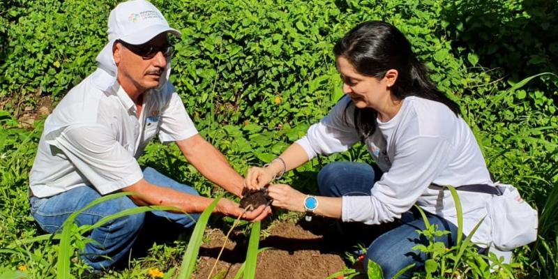Delegacion del MARN en Retalhuleu planta 500 árboles