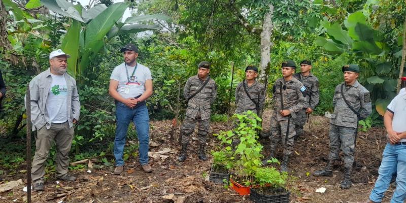 Petén avanza en el plan de reforestación con tres mil 500 árboles