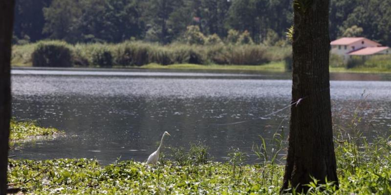 Recuperación de la Laguna Chichoj es un esfuerzo del MARN para los guatemaltecos