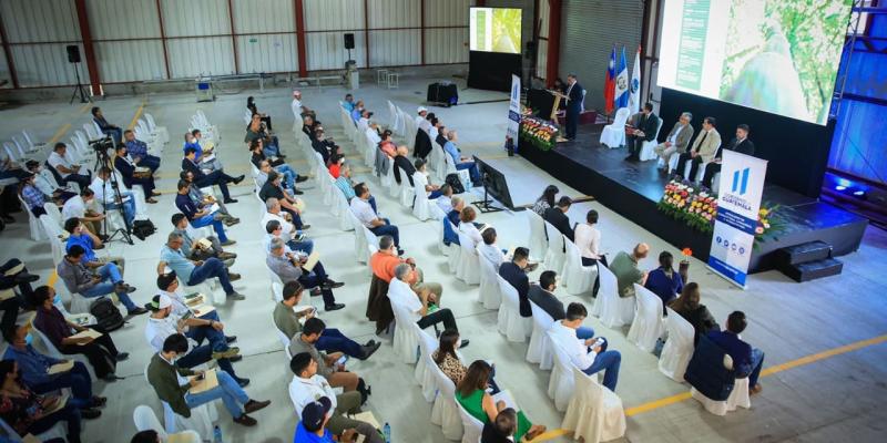 Congreso reúne a expertos para la innovación del "Acero Vegetal".