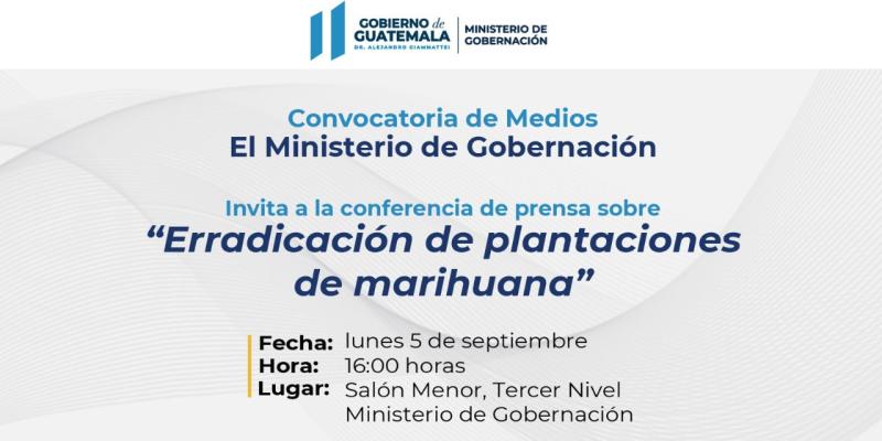 Erradicación de plantaciones de marihuana