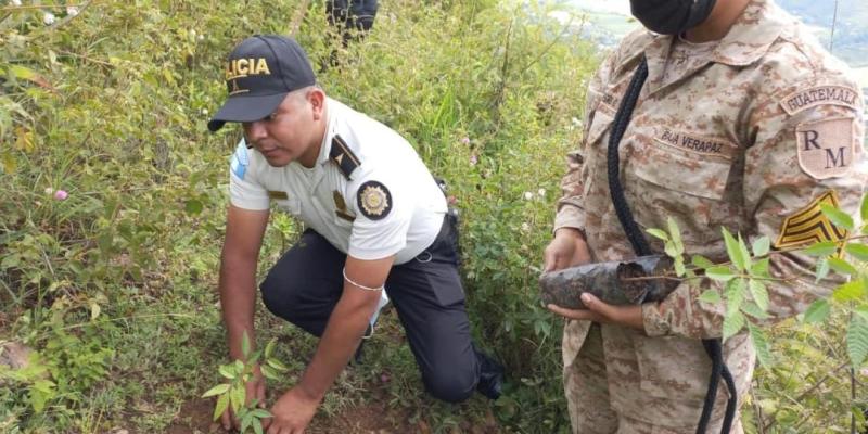 UPCV coordina siembra de árboles en Salamá Baja Verapaz