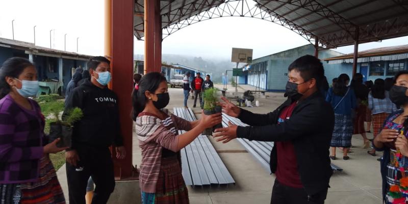 Estudiantes de Patzún plantan 500 árboles en zona de importancia ambiental
