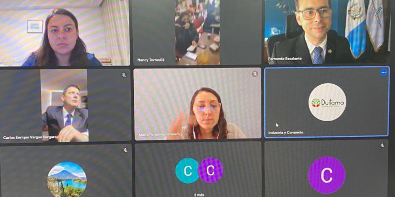 captura de pantalla de computadora de conferencia virtual con diferentes personas y funcionarios