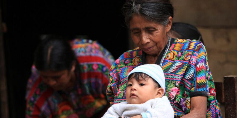 Secretaría de Seguridad Alimentaria y Nutricional 