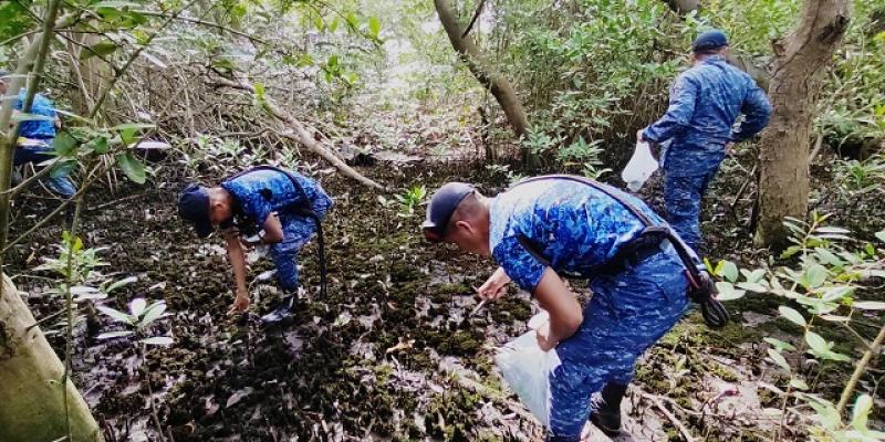 Comando Naval del Pacífico protege el ecosistema de la costa Sur a través de la siembra de Mangle