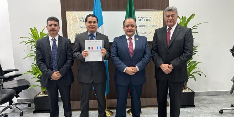 Melocotón guatemalteco logra admisibilidad en el mercado de México