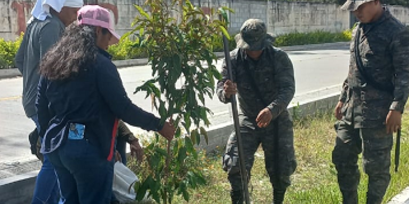Brigada de Infantería