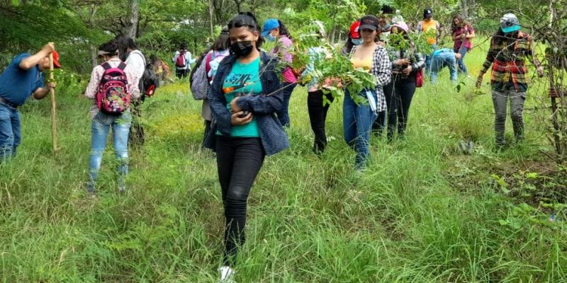 Estudiantes de San Cristóbal Acasaguastlán reforestan