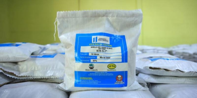 Maga entregará semilla de maíz fortificado a personas damnificadas por el ciclón tropical Julia.