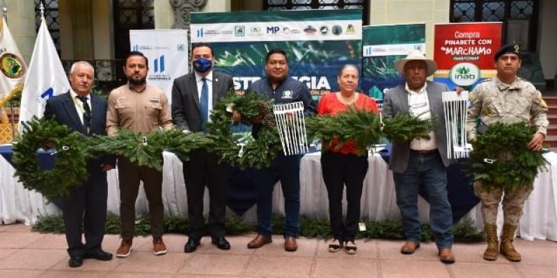 Autoridades priorizan la protección de bosques naturales de pinabete y tillandsias