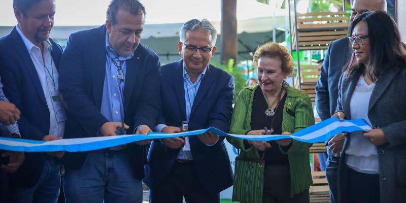 Guatemala avanza en la admisibilidad del aguacate a Estados Unidos