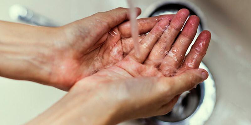 Secretaría de Seguridad Alimentaria y Nutricional 