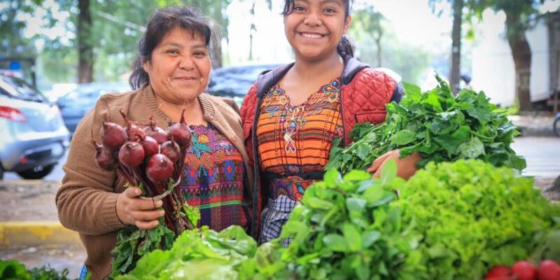 Secretaría de Seguridad Alimentaria y Nutricional 