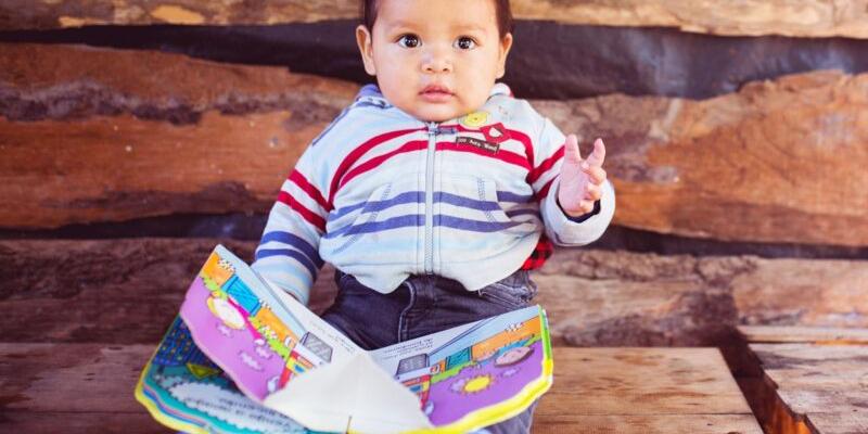 Secretaría de Seguridad Alimentaria y Nutricional 