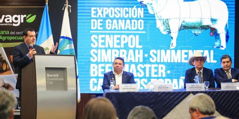Sector ganadero busca mejorar genética bovina en Guatemala