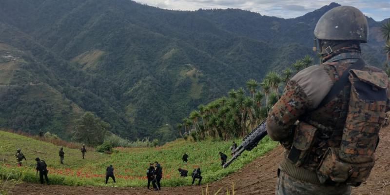 Ejército de Guatemala contribuye en la lucha contra el cultivo de ilícitos.