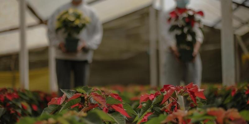 La perfecta terapia de reinserción