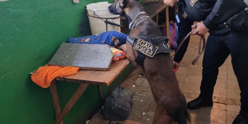 Destruyen cables y localizan objetos punzocortantes en cárcel Pavón