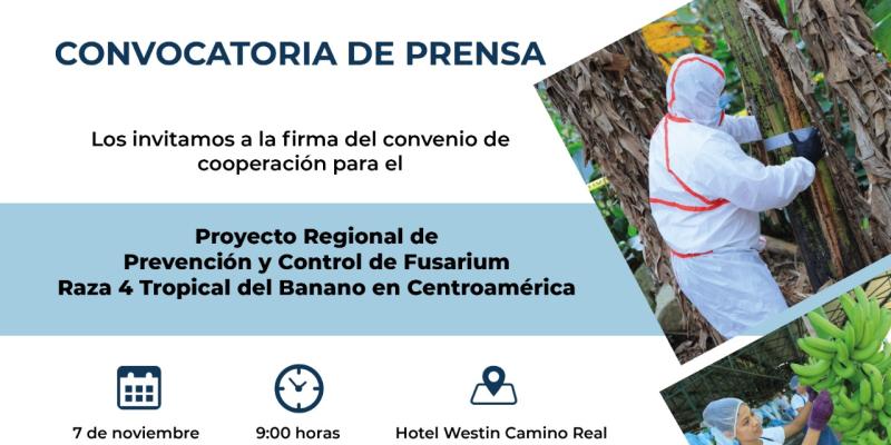 Proyecto Regional de Prevención y Control de Fusarium Raza 4 Tropical del Banano en Centroamérica