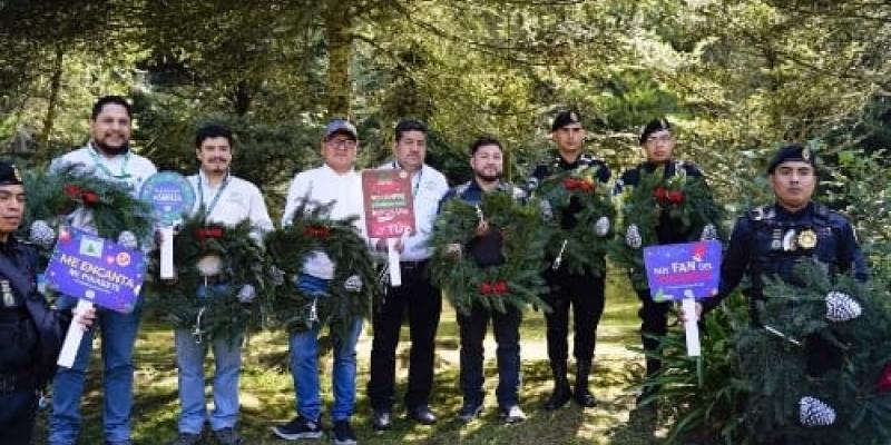 Instituciones buscan concientizar a la población sobre la protección del Pinabete
