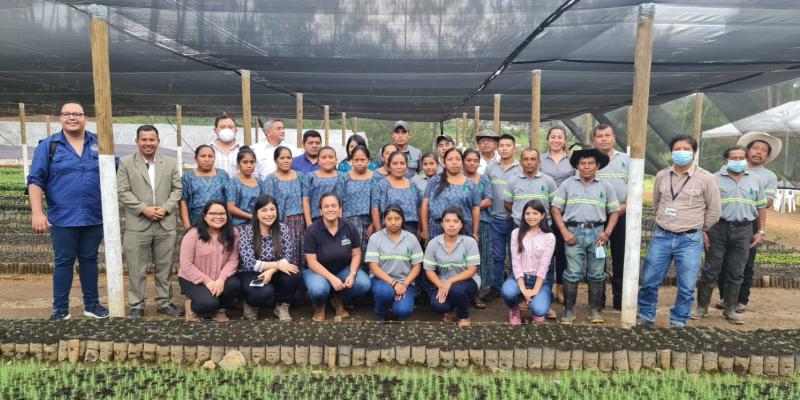 Vivero agroforestal de San Pedro Carchá facilitará recuperación boscosa
