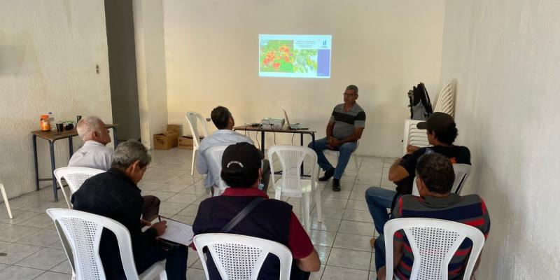 MARN fortalece el trabajo de técnicos municipales para la producción de plantas forestales