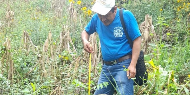 MARN monitorea áreas reforestadas en San Agustín Acasaguastlán