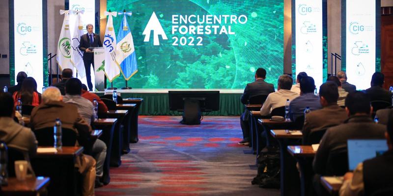 Los recursos forestales contribuyen a la productividad del país 