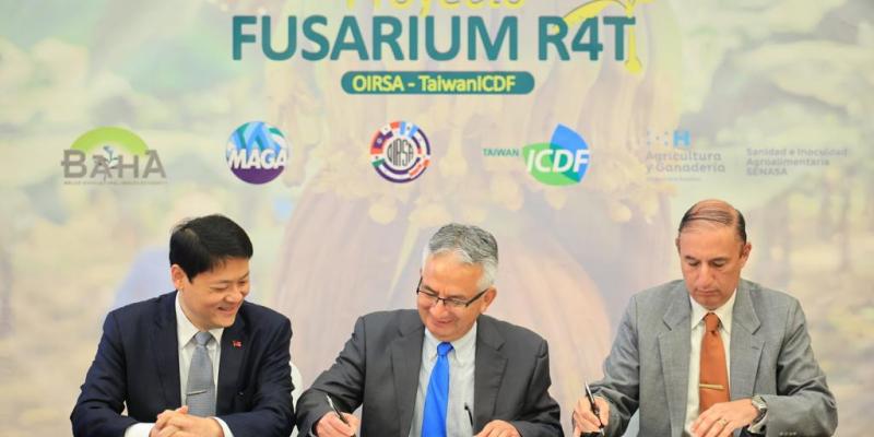 Firman convenio para prevenir el Fusarium en las plantaciones de banano y plátano