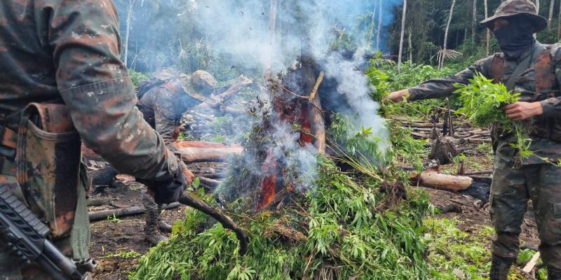 Ejército de Guatemala resta espacios al narcotráfico.