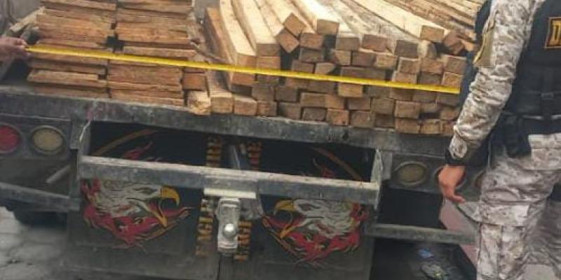 Diprona reporta capturas por recolección y traslado de producto forestal de forma ilegal