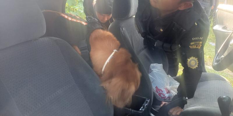 DIDAE decomisa armas de fuego en inspección de vehículo