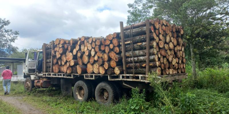 Diprona captura por delitos contra la naturaleza a 832 personas