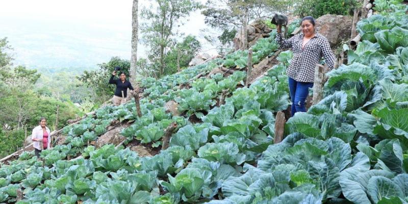 Alerta para prevenir incendios forestales y afecciones al sector pecuario con el uso de pirotecnia