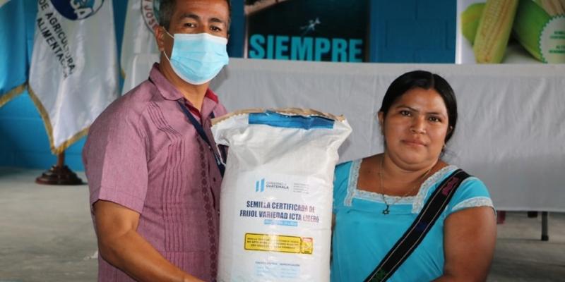 Más de cinco mil familias reciben semilla certificada de frijol en Petén