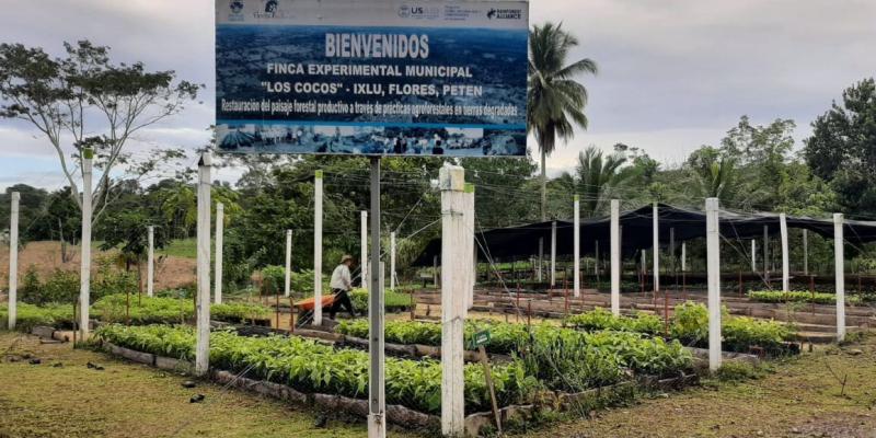 MARN verifica viveros forestales municipales en Petén