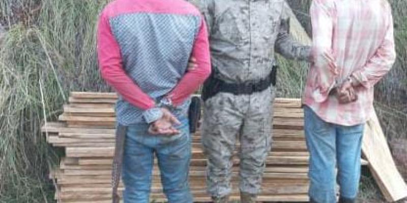 Capturan dos personas por tala ilegal de producto forestal