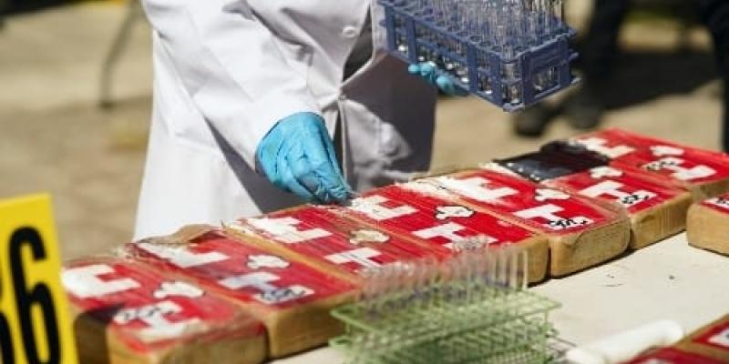 Transparentan procesos de incautación de droga para su destrucción