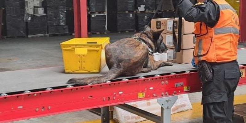 Unidad antinarcótica decomisa metanfetamina en bodega de encomiendas