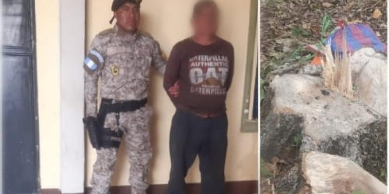 Diprona captura a una persona por tala ilegal de producto forestal