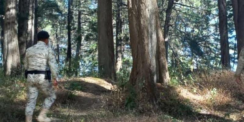 Diprona localiza y decomisa producto forestal en Alta Verapaz