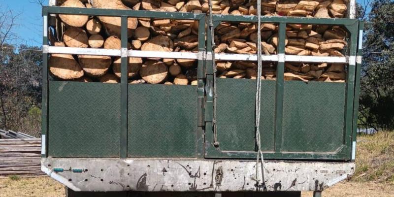 Capturan a persona por transportar de forma ilícita producto forestal