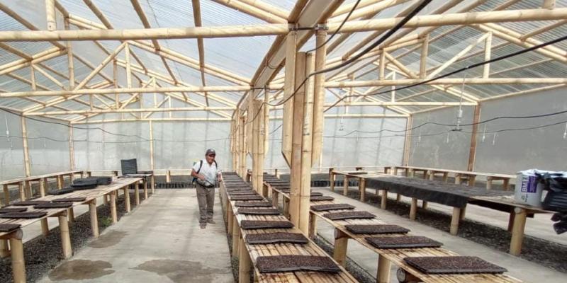 Baja Verapaz desarrolla proyecto agroforestal