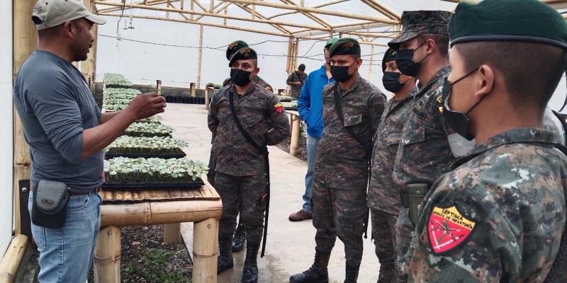 Soldados proyectan la siembra de 350,000 árboles durante el 2023.