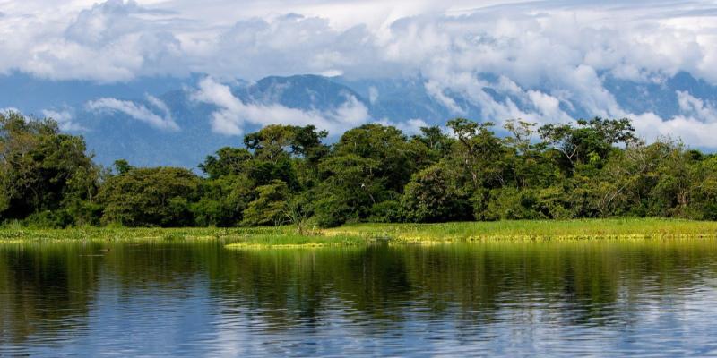 Humedales: Un recurso elemental para la vida y la naturaleza