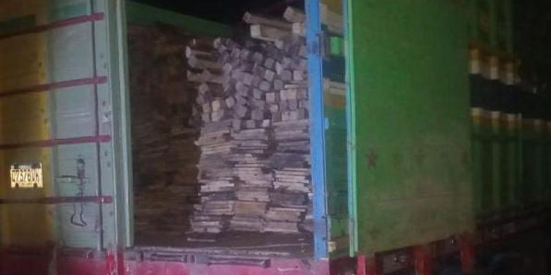 Capturan a dos personas por tala y transporte ilegal de producto forestal