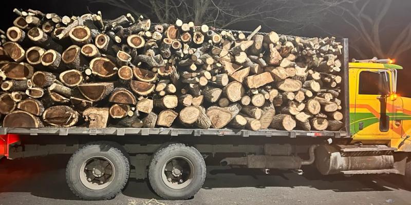 Diprona decomisa 32 metros cúbicos de producto forestal en Escuintla