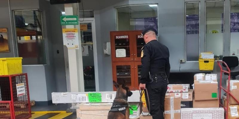Decomisan cocaína en caja de encomiendas